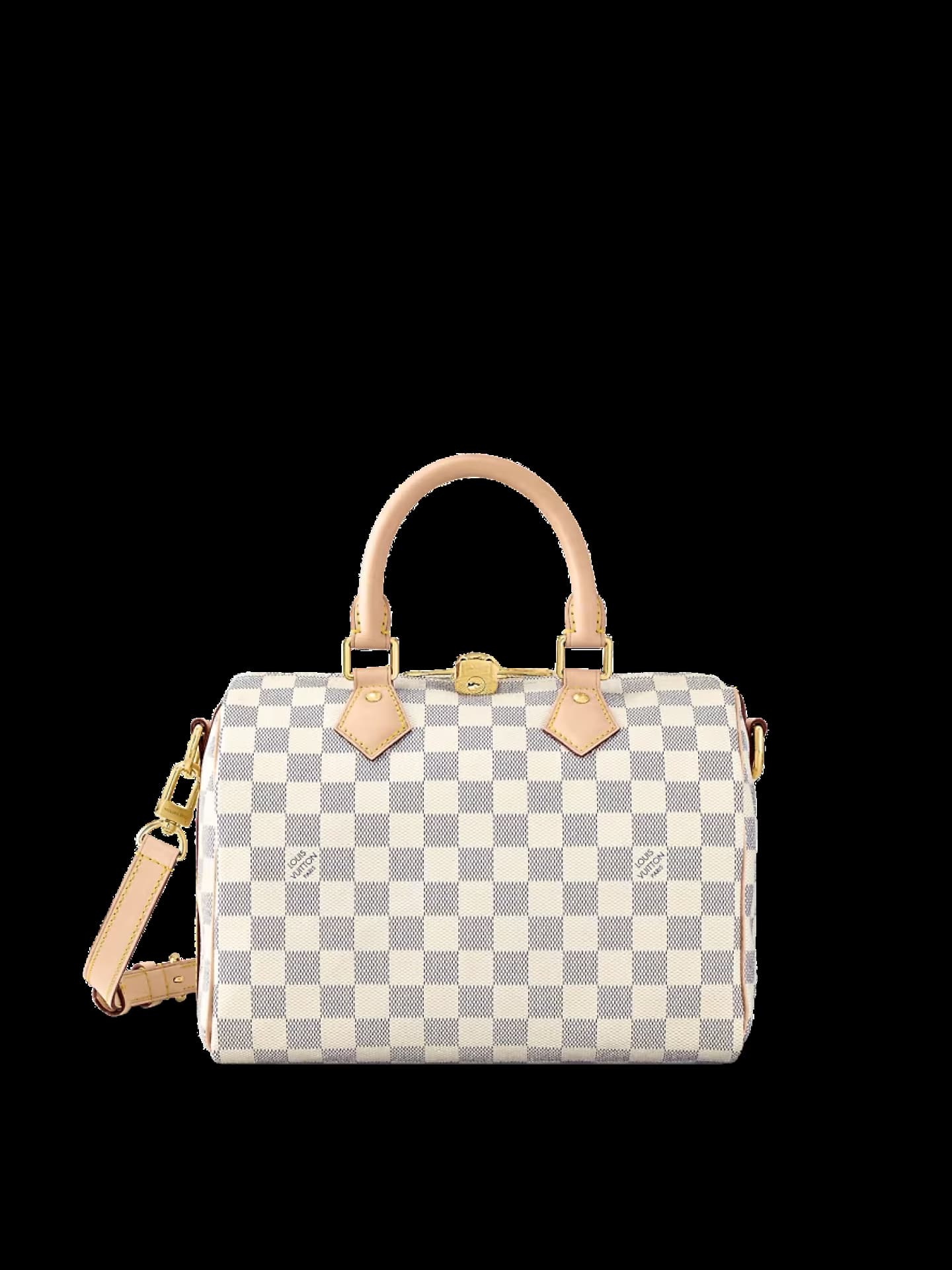 Speedy von Louis Vuitton