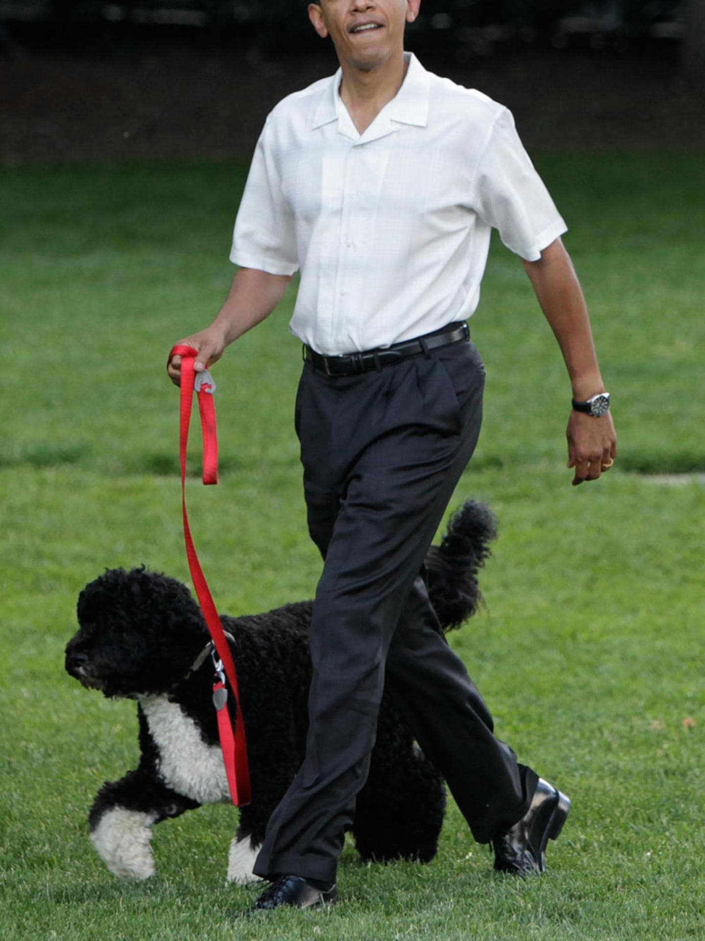 Barack Obama Hund