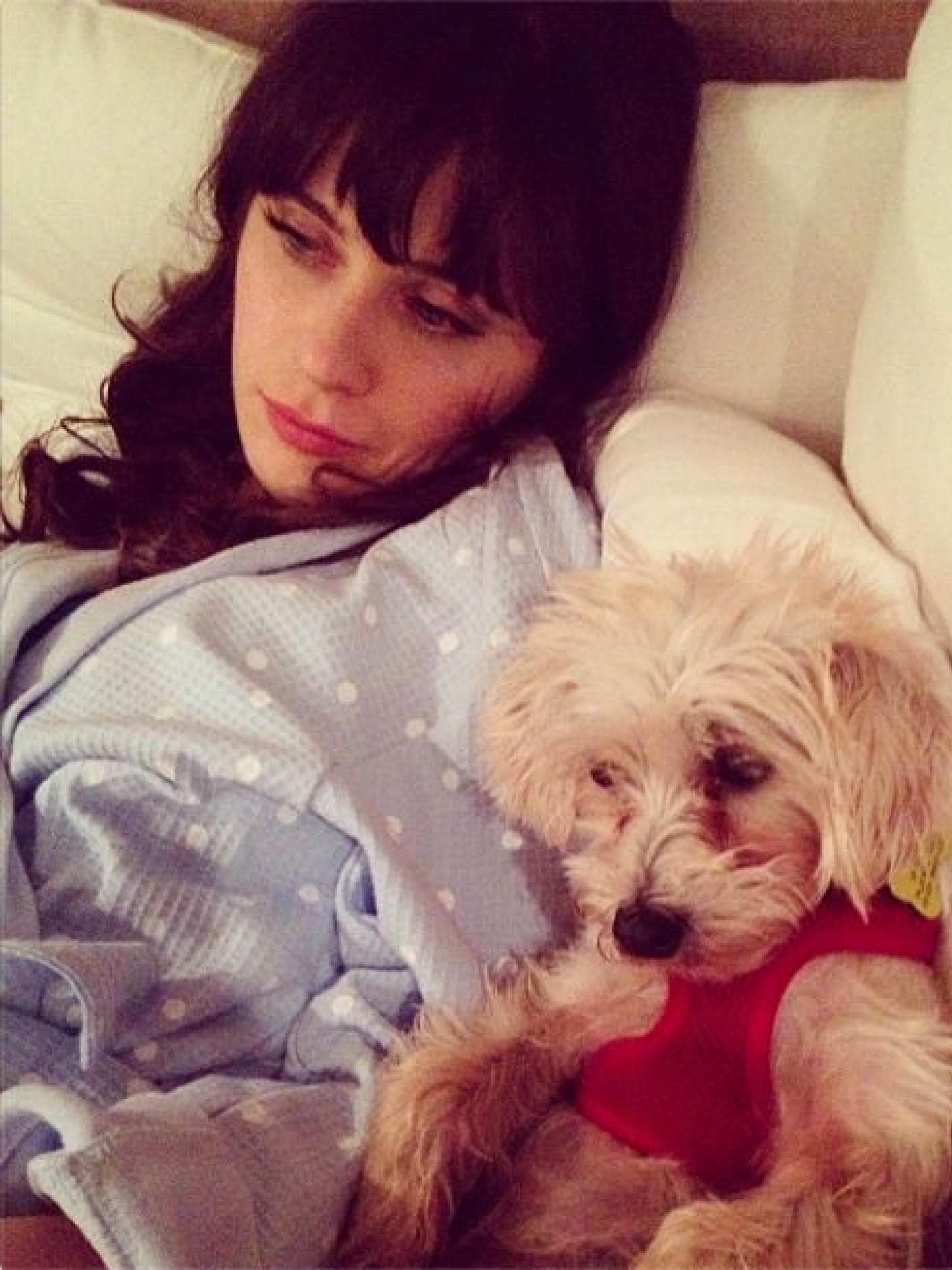Zooey Deschanel