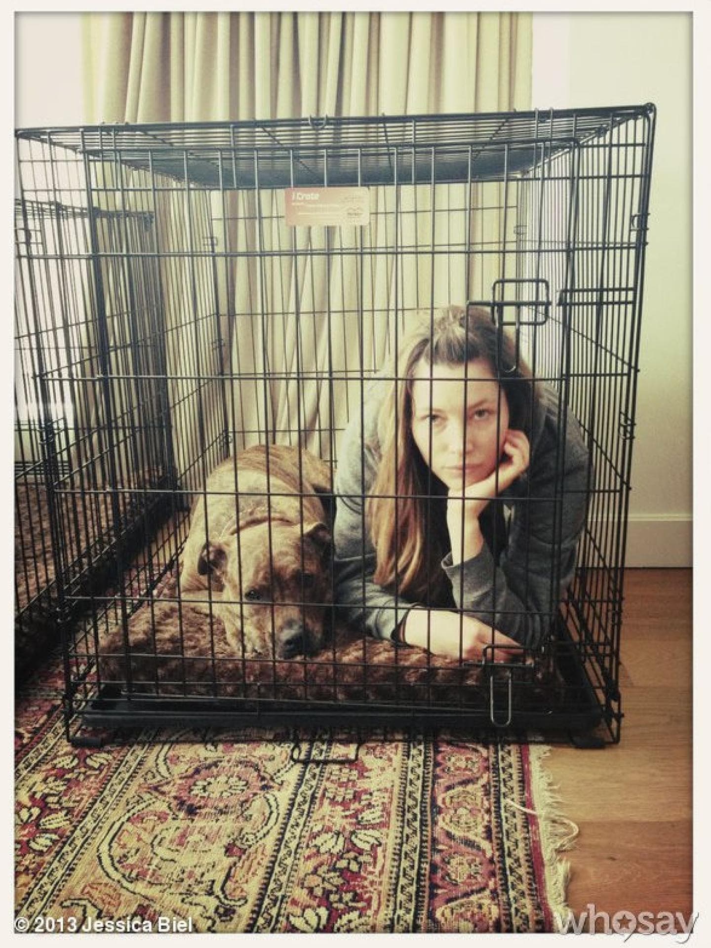 Jessica Biel & Hund Tina