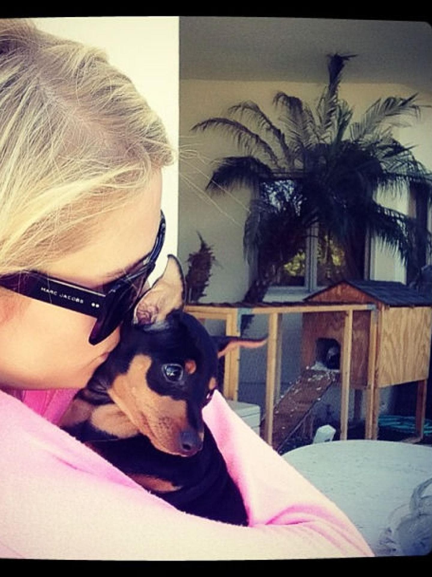 Paris Hilton & Hund Dollar