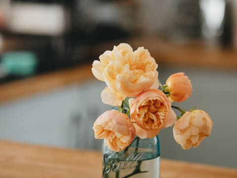 Blumen pflegen Blumen pflegen