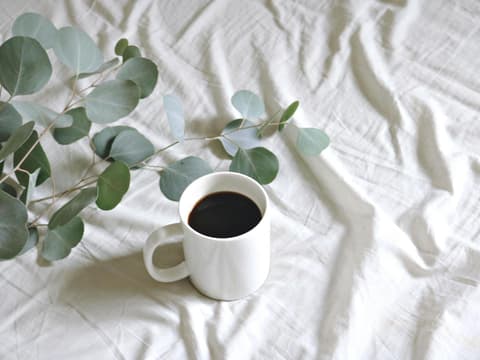 Abnehmen mit Kaffee funktioniert unter einer Bedingung. Kaffeebecher und Eucalyptus auf einem Bettlaken.