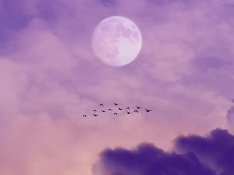 Diese 3 Sternzeichen sind im Mai richtige Glückspilze. Mond an lila Abendhimmel