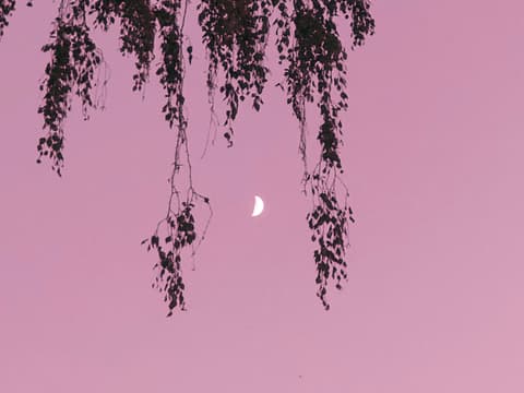 Welches dein Glückstag im Juli 2025 ist, verraten wir dir hier. Mond an rosa Himmel
