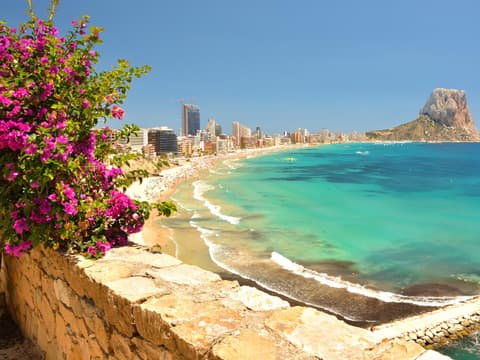 Ein Strand an der Costa Blanca mit Blumen im Vordergrund und Hochhäusern im Hintergrund.
