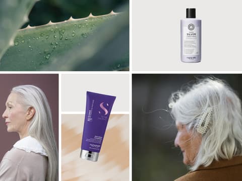 Collage mit Bildern von Conditioner, Aloe vera und Frauen mit grauen Haaren.