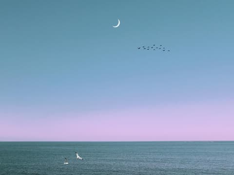 Für 3 Sternzeichen fügt sich endlich alles – ab dem 25. Juli wird ihr Leben spürbar leichter. Abendhimmel über dem Meer