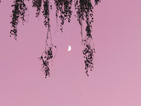 Rosa Himmel mit Mond