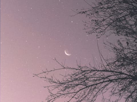 Welche 5 Sternzeichen ihr Leben bald kaum wiedererkennen werden, liest du hier. Rosa Sternenhimmel