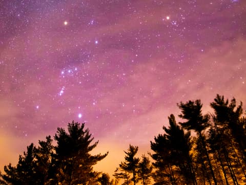 Welche Sternzeichen im Oktober mit einem finanziellen Durchbruch rechnen können, liest du hier. Lila Sternenhimmel mit schwarzen Tannenbäumen