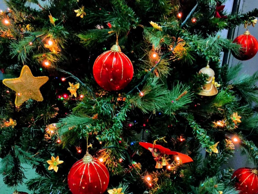 Dieses Weihnachtslied passt zu dir – laut Sternzeichen