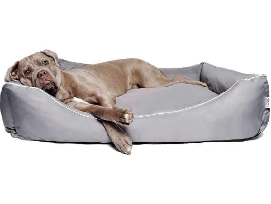 Hundekissen