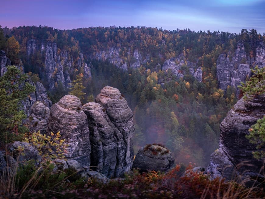 Elbsandsteingebirge mit vielen Bäumen dazwischen.