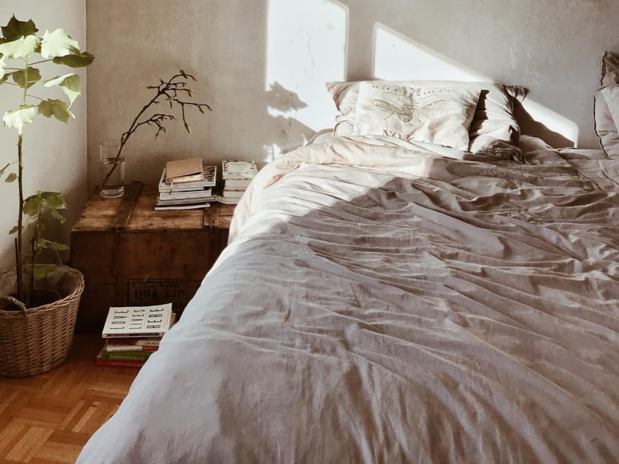 Schlafzimmer mit Pflanzen und Bett Schlafzimmer mit Pflanzen und Bett