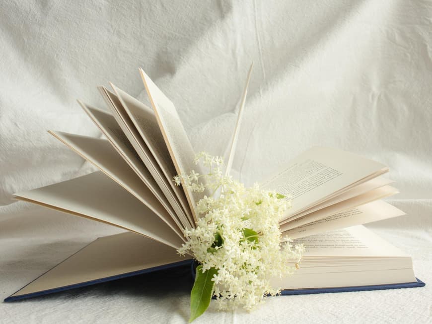 Buch mit Blume