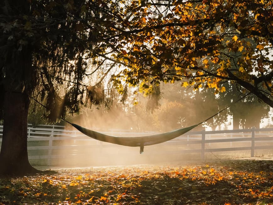 Hängematte in der herbstlichen Sonne