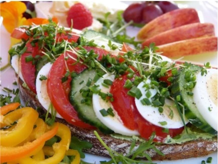 Ernährung Ernährung