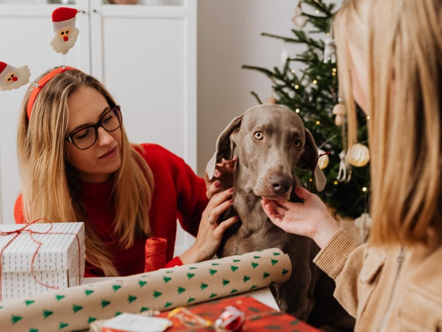 Geschenke für Hunde