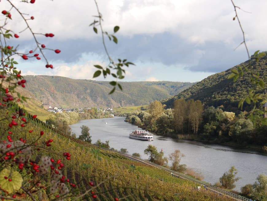 Mosel