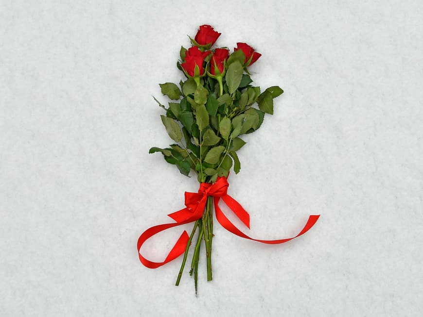 Rote Rosen liegen auf einem Tisch