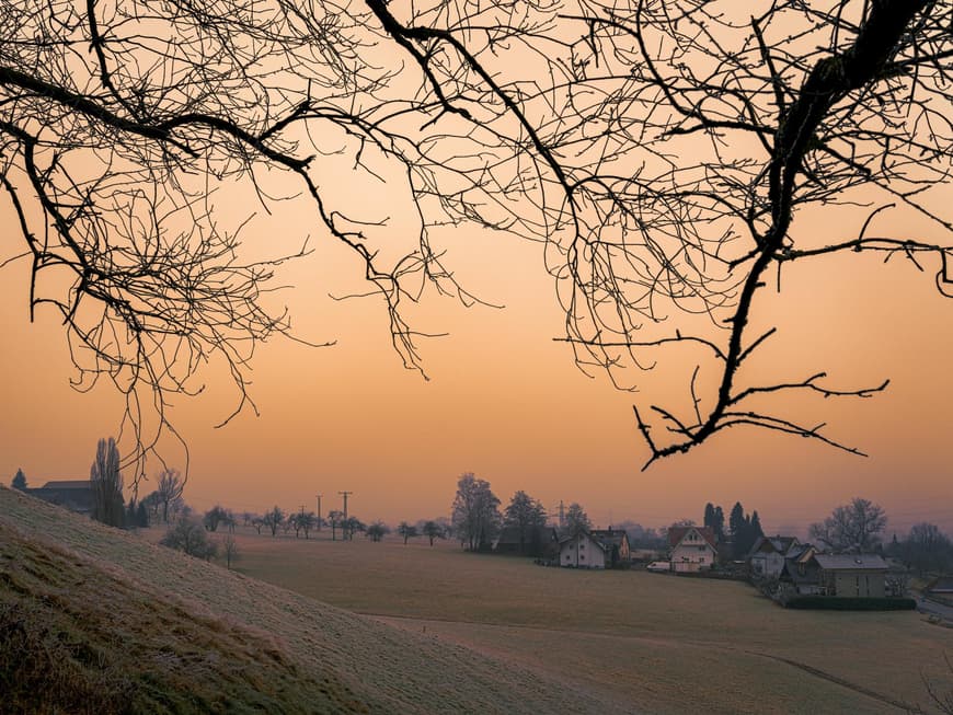 Schwarzwald