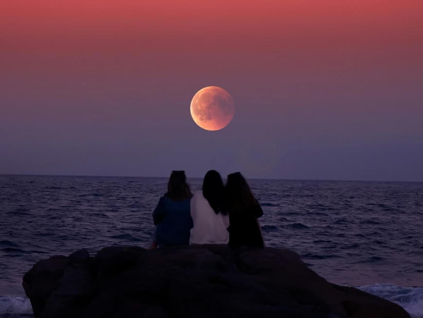 Blumenmond Vollmond Blumenmond Vollmond
