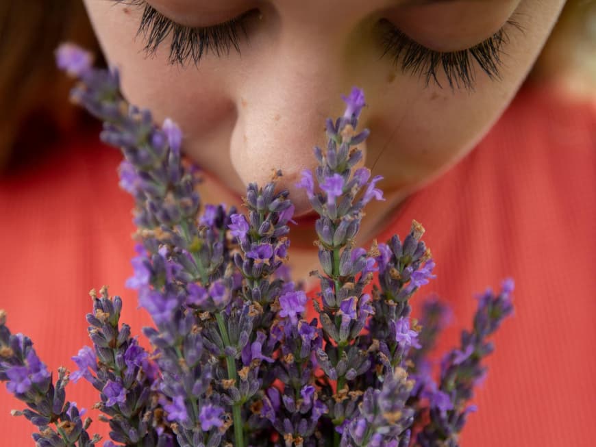 Aroma Duftherapie Frau riecht an Lavendel
