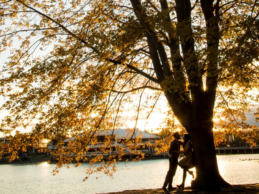 3 Sternzeichen treffen im Herbst ihre große Liebe. Pärchen unter einem Herbstbaum
