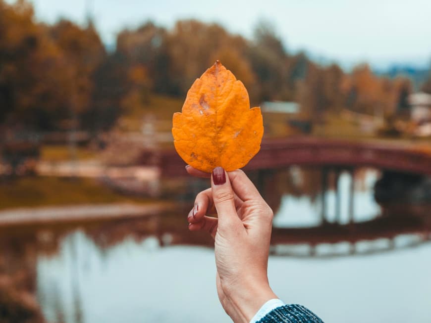Braune Fingernägel mit Herbstblatt