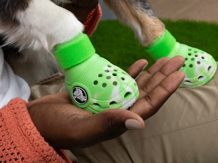 Die Crocs für Hunde gibt es in drei verschiedenen Größen. Crocs an den Pfoten eines Hundes.