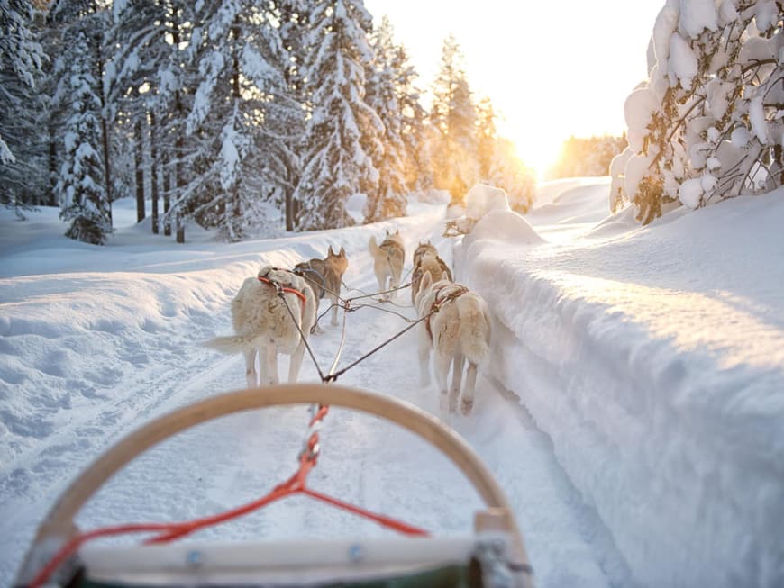 Huskys ziehen einen Schlitten in einer Schneelandschaft