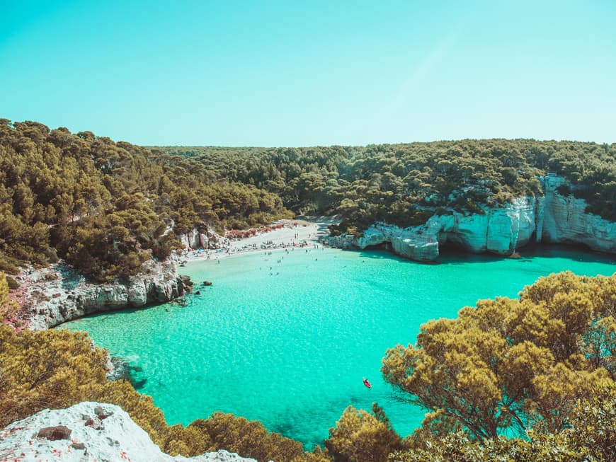 Macarella Beach auf Menorca mit viel Grün und türkisfarbenem Wasser.