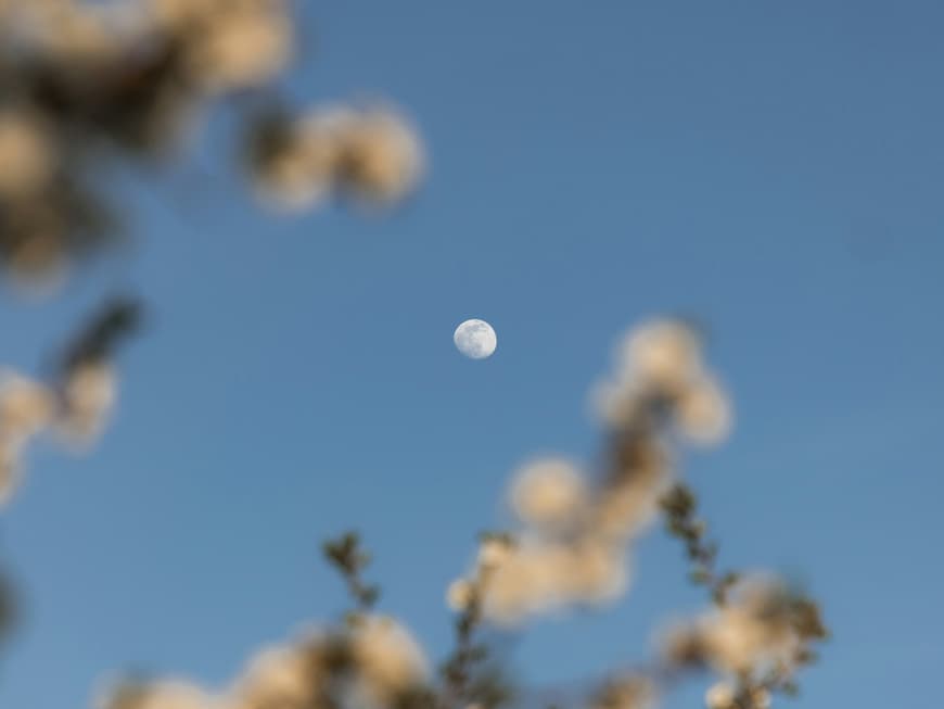 Frühlingshimmel mit Mond