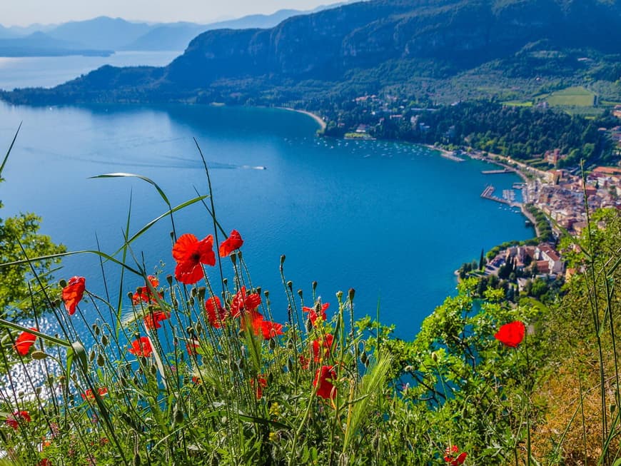 Blick auf den Gardasee von oben mit Pflanzen vorne im Bild.