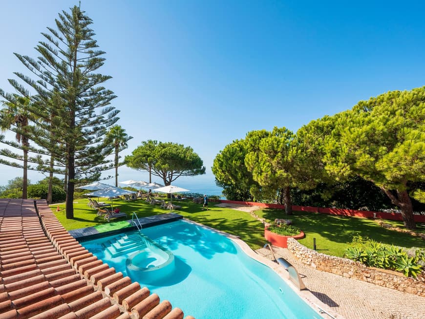 Ein Blick auf einen Pool mit Rasen und Bäumen drum herum und dem Meer im Hintergrund.