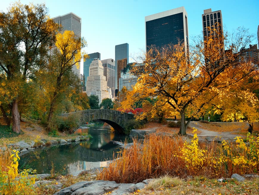 New York City im Herbst
