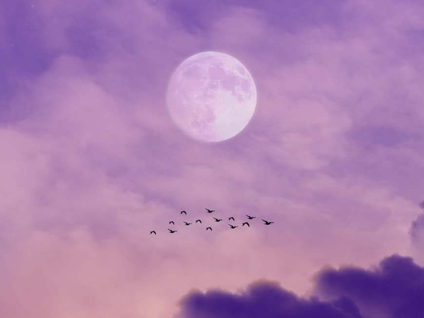 Vollmondhimmel