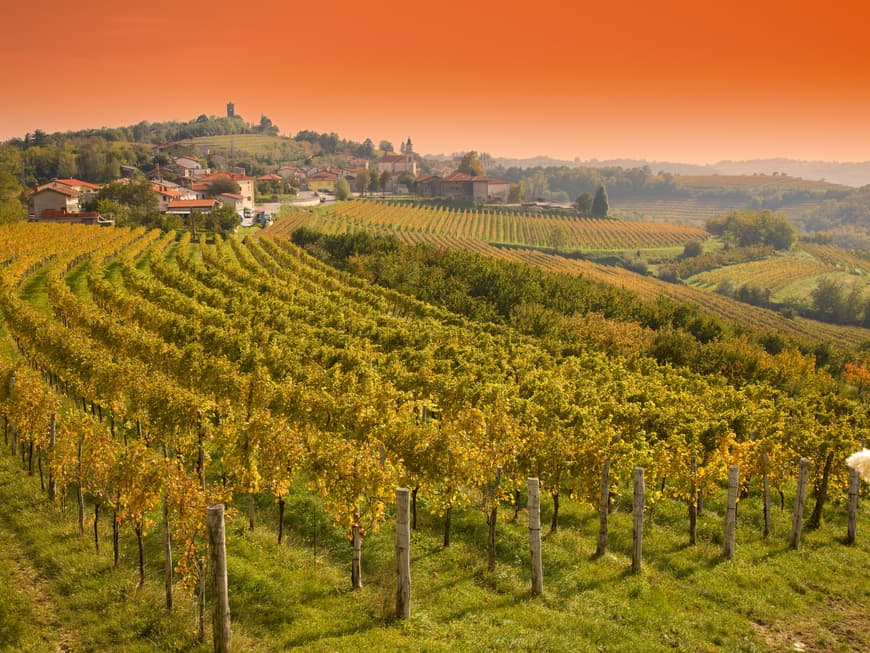 Slowenische Weinhügel