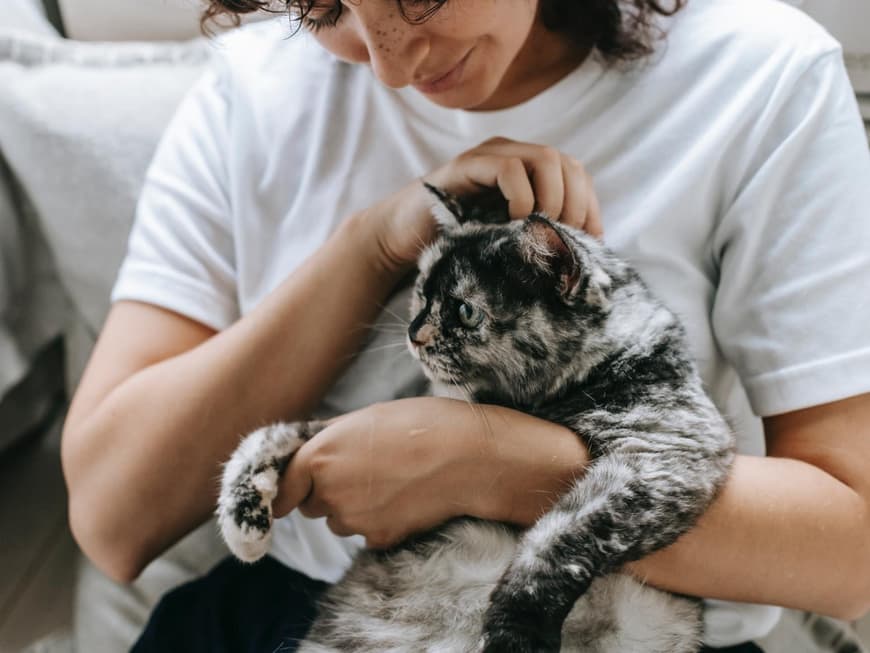 Frau hält eine Katze auf dem Arm und schmust mit ihr.