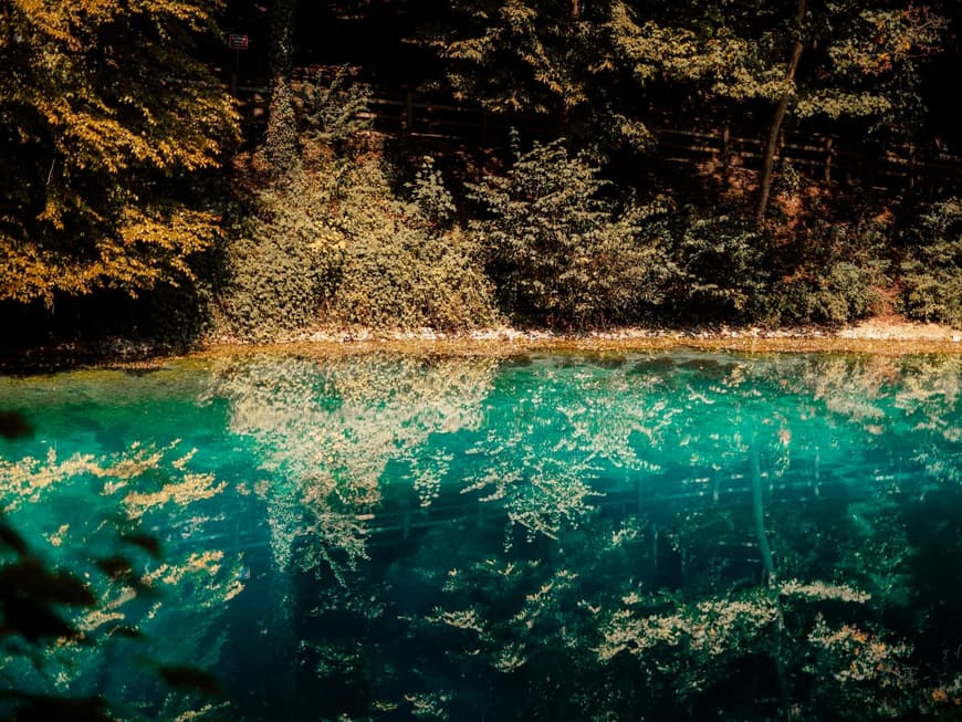 Ein Blick auf die türkisfarbene Blautopf Quelle mit Bäumen im Hintergrund.