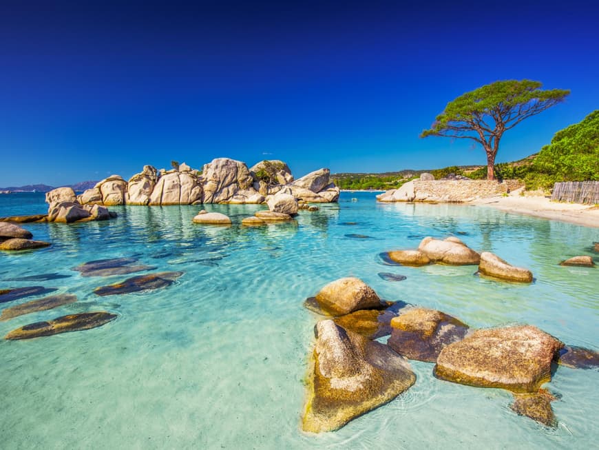 Türkises Meer mit Felsen darin und grünen Bäumen am Strand.