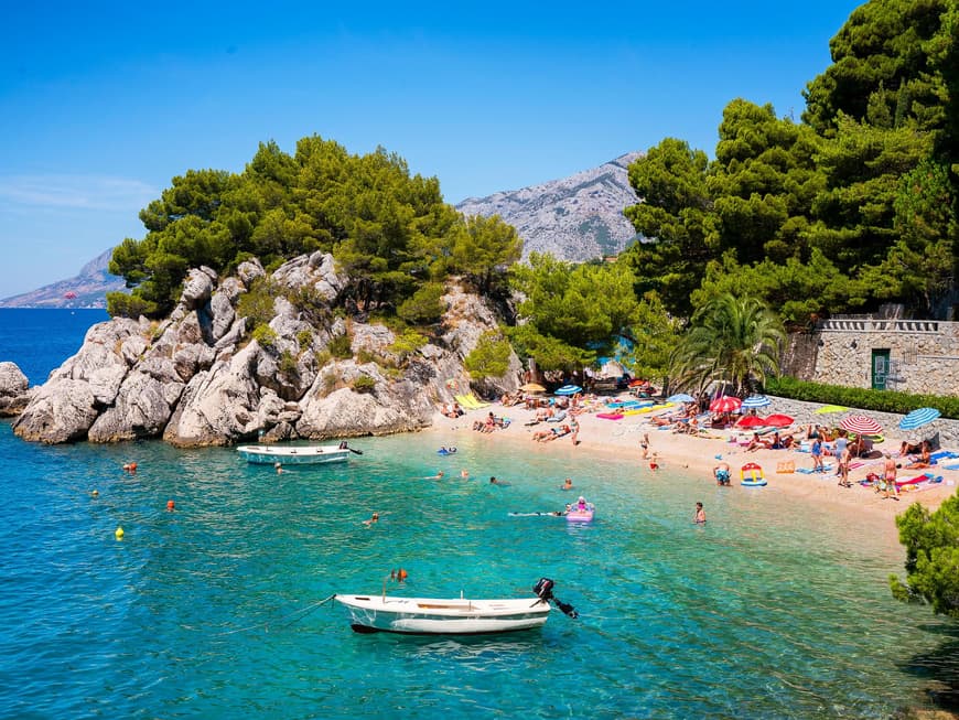 Ein Blick auf den Punta Rata Beach mit türkisfarbenem Meer, Bäumen im Hintergrund und Menschen am Strand.