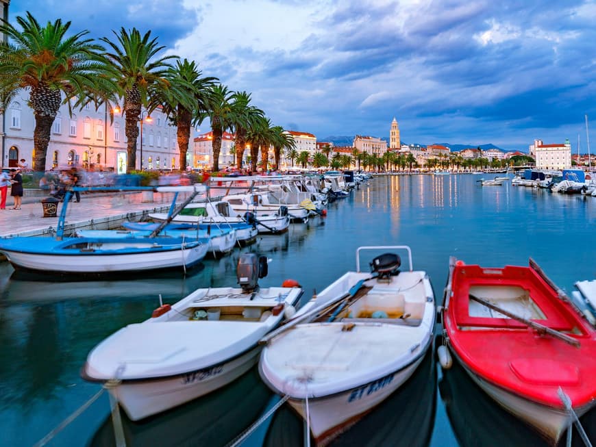 Ein Blick auf den Hafen von Split mit vielen Booten, Palmen an der Promenade und Häusern im Hintergrund.