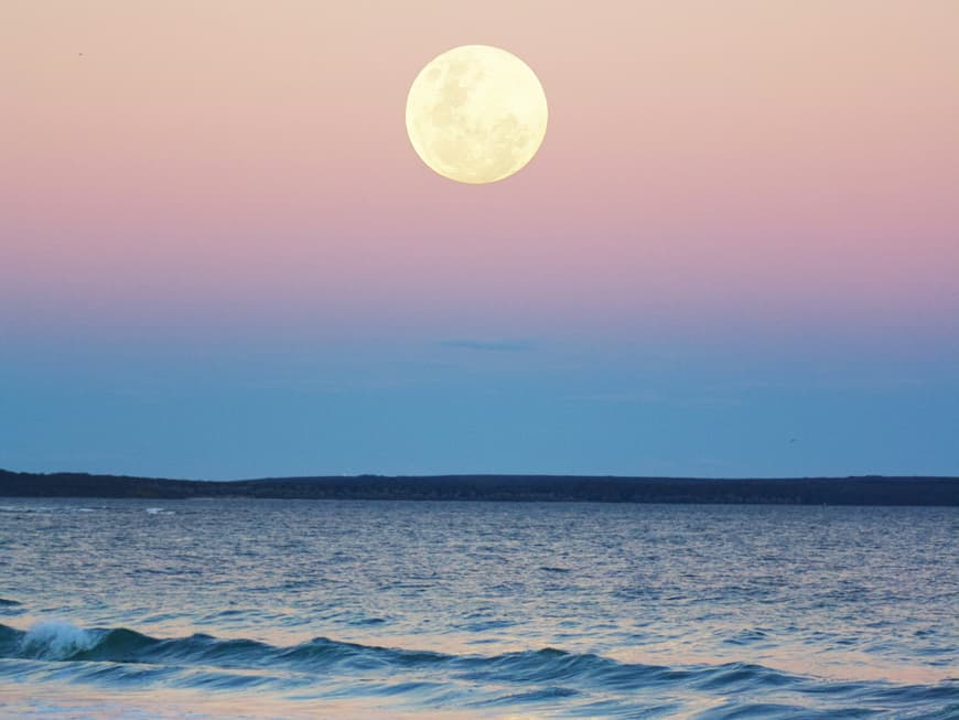 Welche Sternzeichen im August 2025 von Glück überhäuft werden, erfährst du hier. Vollmond überm Wasser