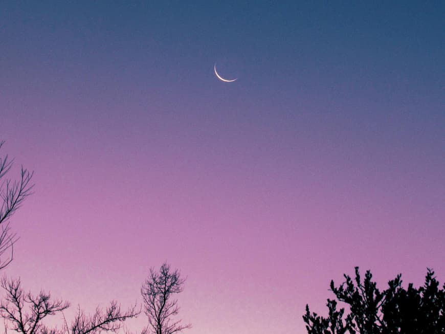 Was dein Sternzeichen diese Woche erwartet, liest du in unserem Wochenhoroskop. Mond am lila-blauen Nachthimmel