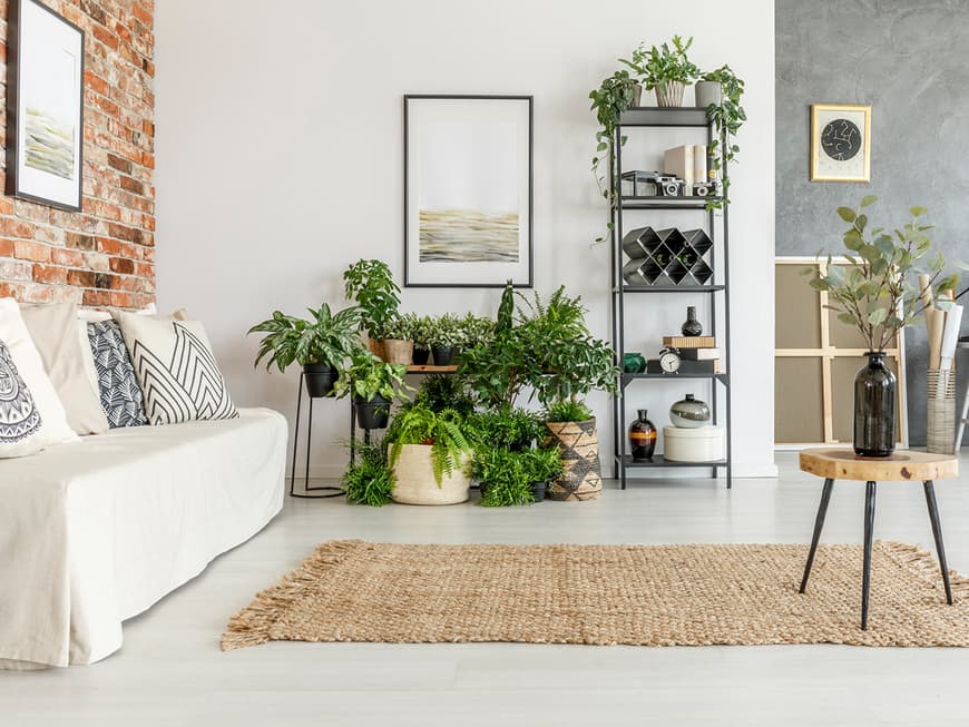 Ein stylisches Wohnzimmer