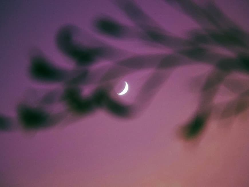 Mond am lila Abendhimmel