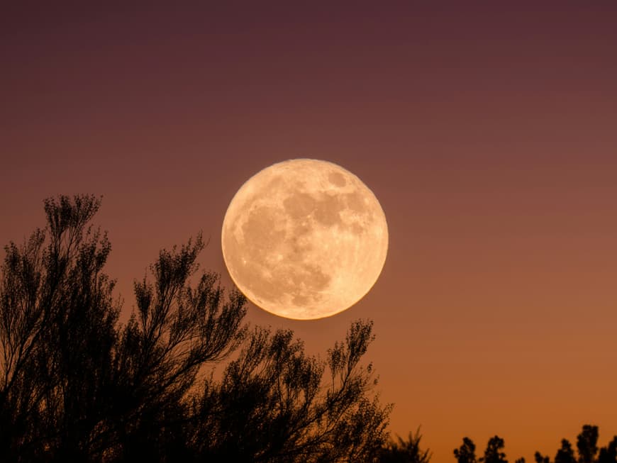 Welche 3 Sternzeichen sich im Herbst auf eine Glückssträhne freuen können, erfährst du hier. Vollmond am rötlichen Himmel