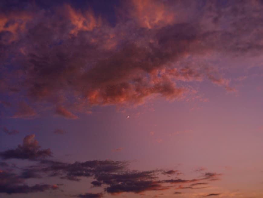 Diese 4 Sternzeichen lassen sich nicht so leicht täuschen. Abendhimmel mit rosa Wolken